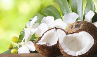 什么人不能喝椰子粉 什么人群不能喝椰子汁