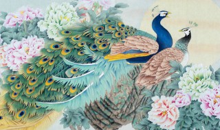 孔雀图什么人不能挂（孔雀图什么人不能挂 属鸡）