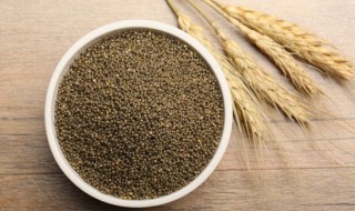 怎么鉴别黑小米 怎么鉴别黑小米的好坏