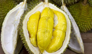 榴莲没熟怎么催熟但剥开了 榴莲没有熟透怎么催熟