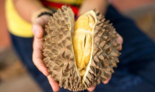 怎样挑选榴莲又香又甜（怎样挑选榴莲 窍门）