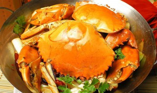 面包蟹如何清洗 面包蟹如何清洗干净