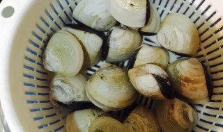 如何清洗白贝（如何清洗白贝里的沙子）