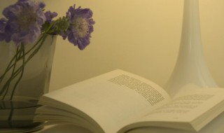 烂好人是什么意思 烂好人是什么意思呢