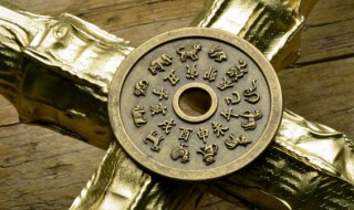 哪些生肖人不能买龙龟（哪些生肖人不能买龙龟有什么说法）