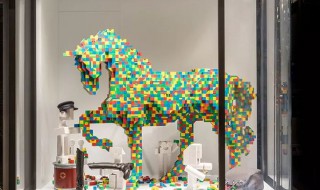 橱窗的意思（橱窗的意思是什么意思）