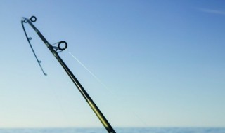 鱼竿调性是什么意思（路亚鱼竿调性是什么意思）