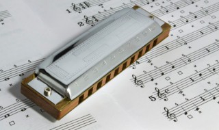 狂人日记歌词（狂人日记歌词cdc）