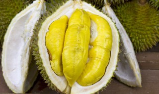 榴莲瓤能吃吗 榴莲炖鸡里面的榴莲瓤能吃吗