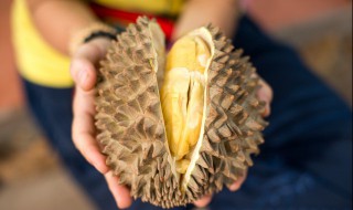 高血糖能吃榴莲吗（高血压高血糖能吃榴莲吗）