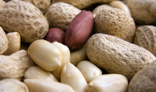 新鲜花生发芽还能吃吗 新鲜花生发芽还能吃吗有毒吗