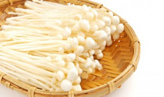 金针菇根部能吃吗（金针菇根子可以吃吗）