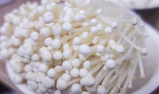 金针菇发黄还能吃吗 金针菇发黄还能吃吗图片