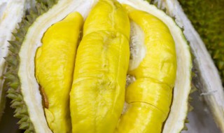 榴莲是苦的能吃吗 榴莲是苦味可以吃吗