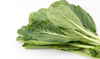 芥菜能吃吗 甲亢芥菜能吃吗