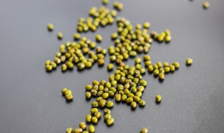 绿豆发芽了还能吃吗 绿豆发芽了还能吃吗有毒吗