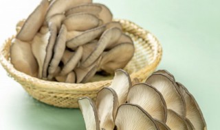 平菇发白还能吃吗 平菇发白了