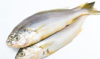 鱼死了还能吃吗（鱼死了还能吃吗有毒吗）