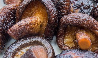 香菇发黑还能吃吗（香菇发黑还能吃吗贴吧）