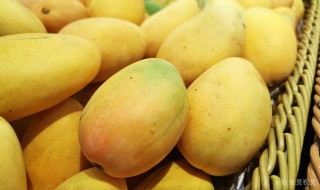 月经期间能不能吃芒果 月经期间能不能吃芒果?_有问必答_快速问医生