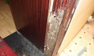 如何防白蚁入屋 如何防白蚁入屋