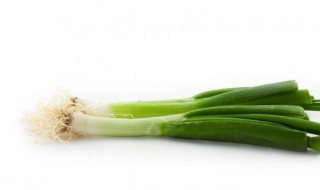 大葱移栽时间和方法（北方大葱移栽时间和方法）