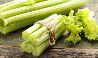 芹菜应该怎么栽（芹菜怎么栽多远一棵）