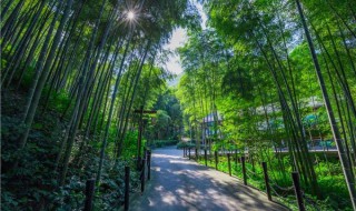 溧阳旅游景点推荐 江苏溧阳旅游景点推荐