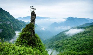 达州景点（达州景区有哪些景点推荐）
