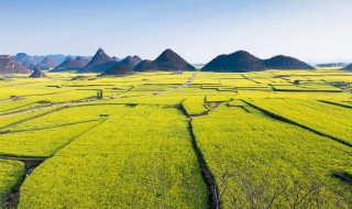 罗平旅游景点大全 云南旅游必去的景点