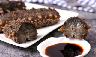 哪些人群不适合吃海参 哪些人群不适合吃海参食用海参需要注意哪些