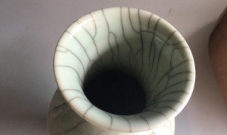 花瓶里有脏东西怎么处理 花瓶里有脏东西怎么处理干净