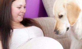 梦见生儿子 梦见生儿子是什么预兆