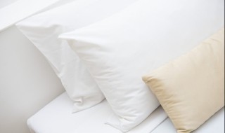 枕头发霉了怎么处理才能快速洗 枕头发霉了怎么洗掉