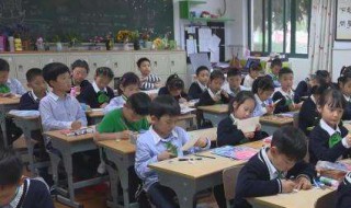 保教费是什么意思（幼儿园保教费包括哪些费用）