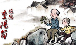 重阳节的感慨（重阳节的感慨自己年老）