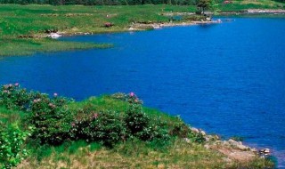 心里憋一肚子火的说说 一个人心烦的伤感说说