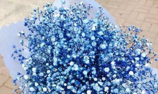 朋友生日送什么花 朋友生日送什么花适合男生