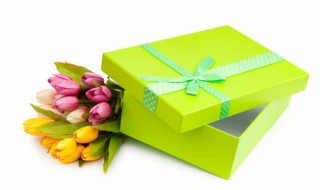 送女性朋友花送什么花（正常异性朋友送什么花）