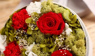 第一次见面送什么花比较好 没有确定关系送花给她合适吗