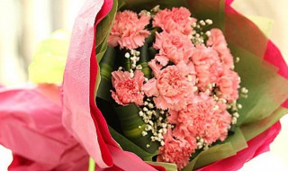 老人过生日送什么花（老年人生日送什么花）