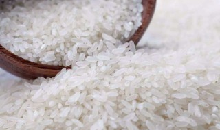 大米有虫子了怎样处理（家里大米生虫怎么除掉）