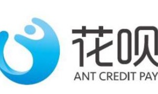 怎样还花呗的钱（银行卡冻结了怎样还花呗的钱）