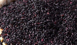 吃黑米必知6大禁忌（这五类人不宜吃黑米）