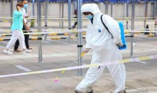 白蚊防治消杀方法（白蚊怎么灭效果最好）