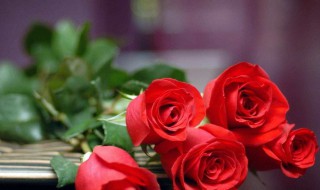 包玫瑰花束的方法 包玫瑰花花束教程