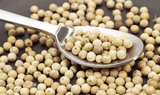 白胡椒粉的食用方法 白胡椒粉用法大全