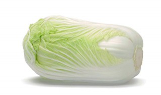 白菜怎么种植方法 白菜怎么种植方法农家