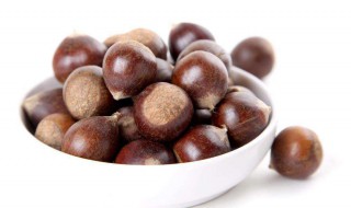 板栗传播种子的方法（10种植物的传播方式）