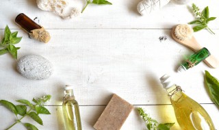 薄荷精油的提取方法 薄荷精油的提取方法视频